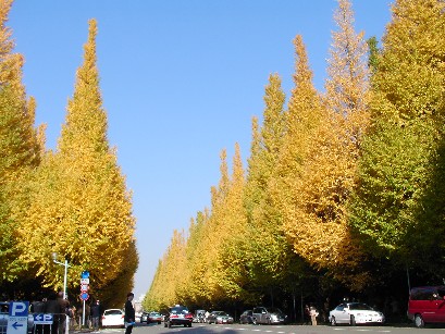 f0002833_9594759.jpg