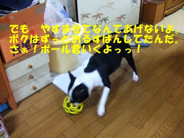 f0059334_92777.jpg