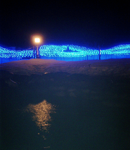 d0069235_1339664.gif