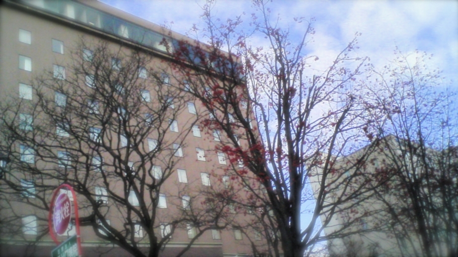 a0072337_18263854.jpg