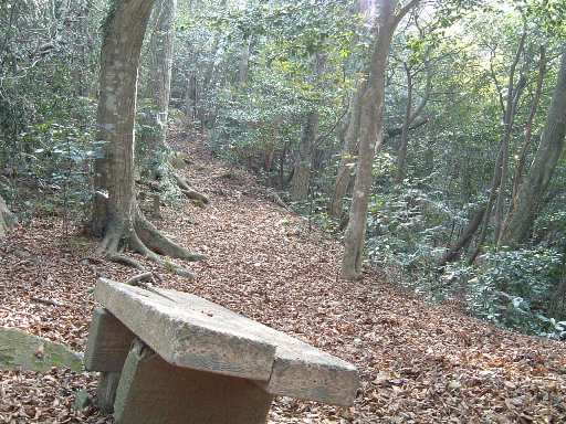 c0077338_2331648.jpg