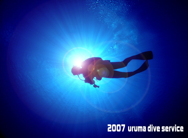 d0065247_0384223.jpg
