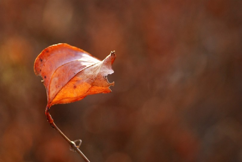 e0009147_201308.jpg