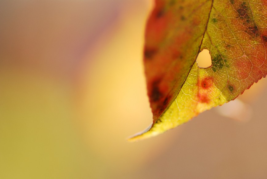 e0009147_20133327.jpg