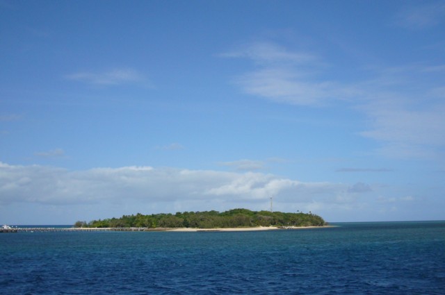 a0052156_1191816.jpg