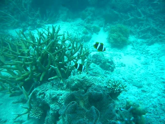 a0052156_1232226.jpg