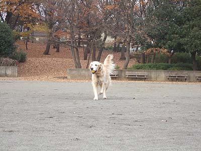 c0097558_2324710.jpg