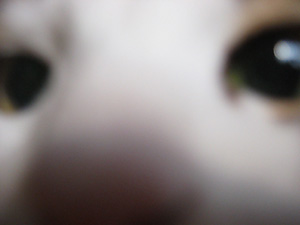 b0064663_15563973.jpg