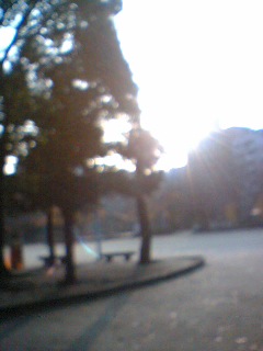 f0100480_036368.jpg