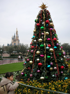 b0026388_12175844.jpg