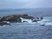 f0069890_22424777.jpg