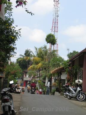 e0073791_1151124.jpg