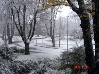 b0013796_742493.jpg