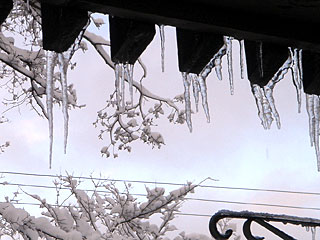 b0013796_7444153.jpg