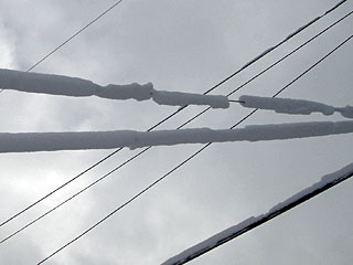 b0013796_7463054.jpg