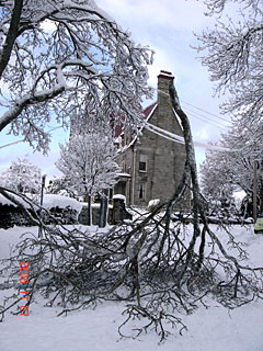 b0013796_747259.jpg