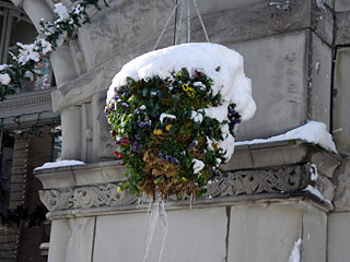 b0013796_748733.jpg