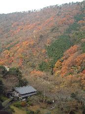 f0095497_16381550.jpg
