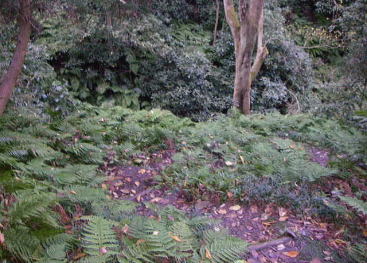 c0008598_2111589.jpg