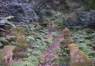 c0008598_21121490.jpg
