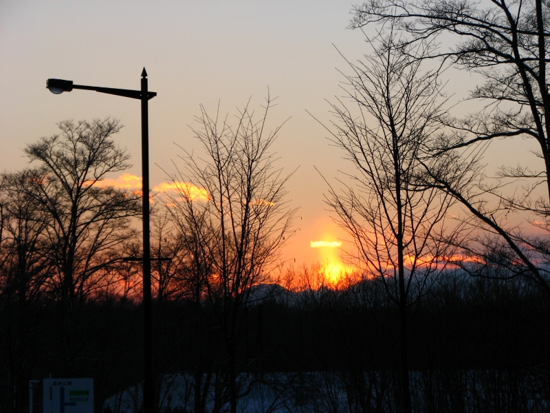 f0020302_21397.jpg
