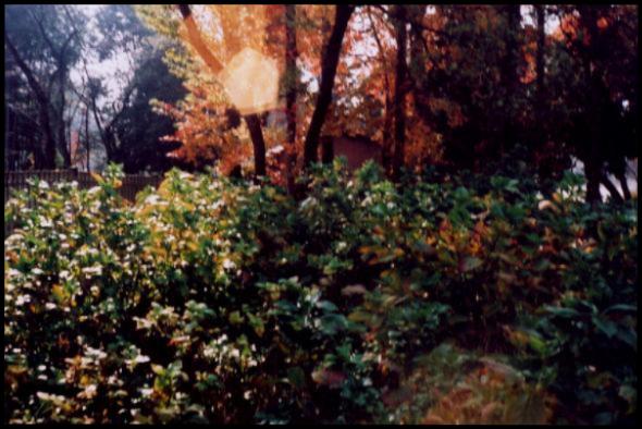 d0071507_20524076.jpg