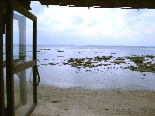e0047322_21202683.jpg