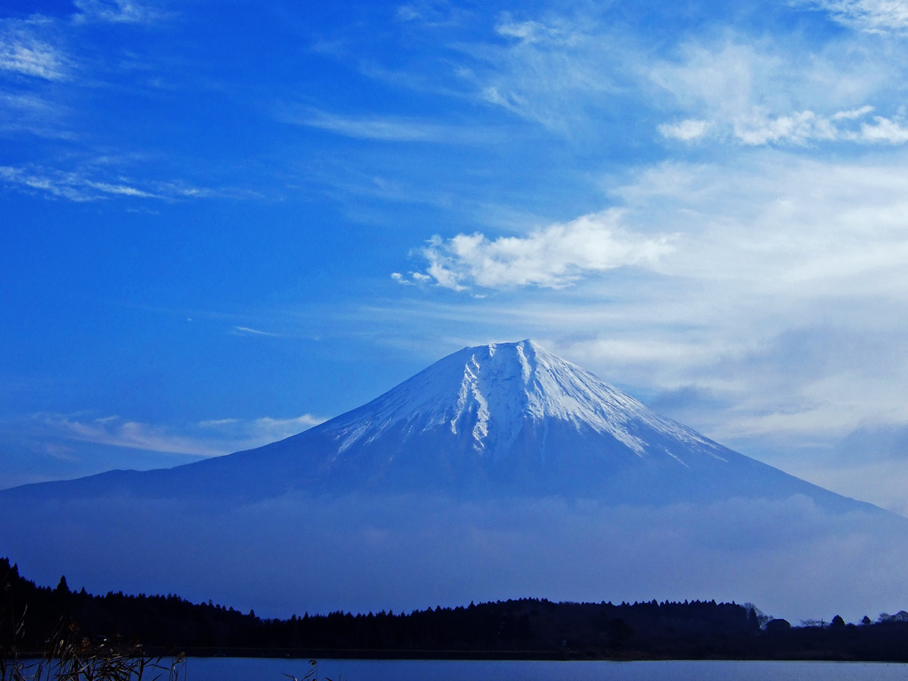 f0035323_6183081.jpg