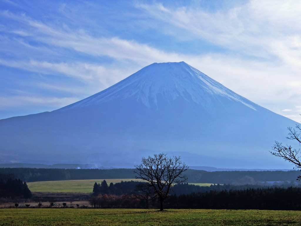 f0035323_6253565.jpg