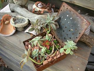 c0102228_20373361.jpg