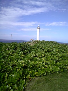 e0016828_11302760.jpg