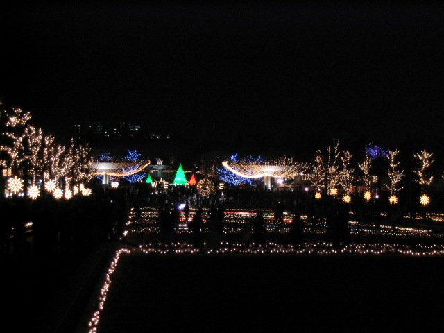 c0086230_19365124.jpg