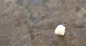 e0104941_8505237.jpg