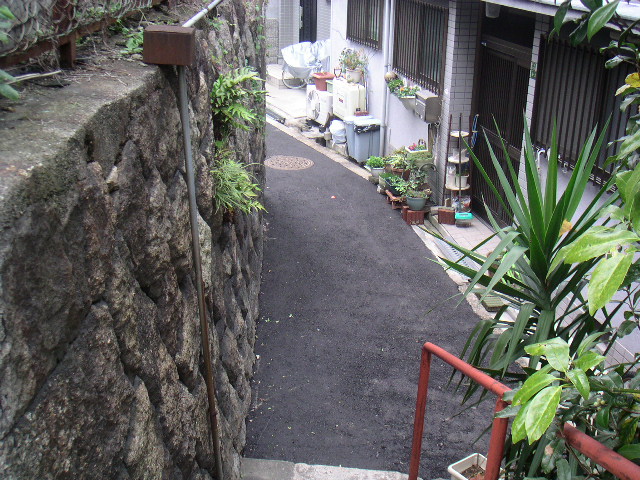 b0060646_1103422.jpg