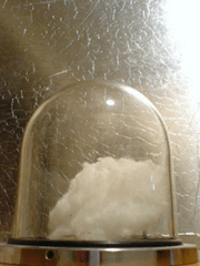 e0005548_11182048.gif