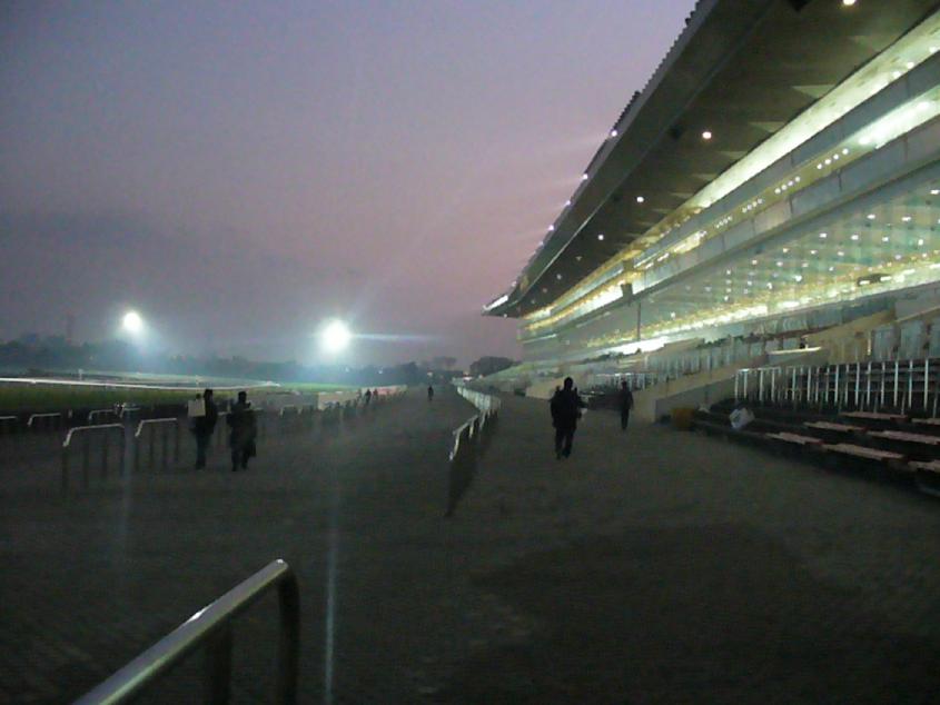 f0033848_230221.jpg