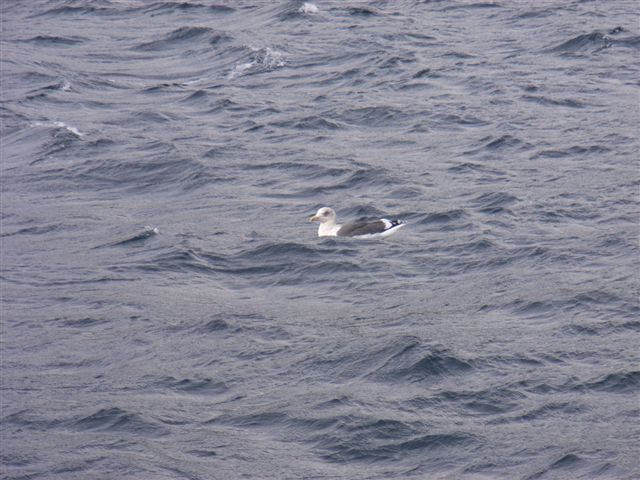 f0025351_1042764.jpg