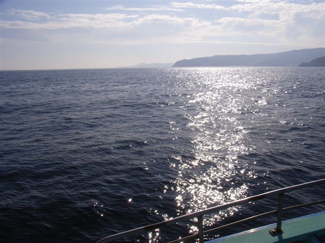 f0025351_9552297.jpg