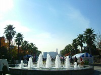 c0047860_234675.jpg