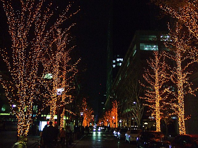 a0015766_222559.jpg