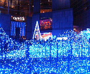 a0087267_22425886.jpg