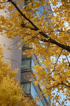 f0065768_171697.jpg