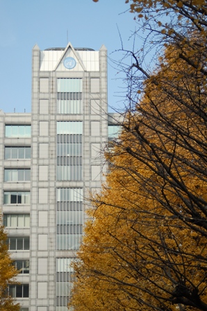 f0065768_1718146.jpg