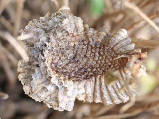 b0088772_17491870.jpg