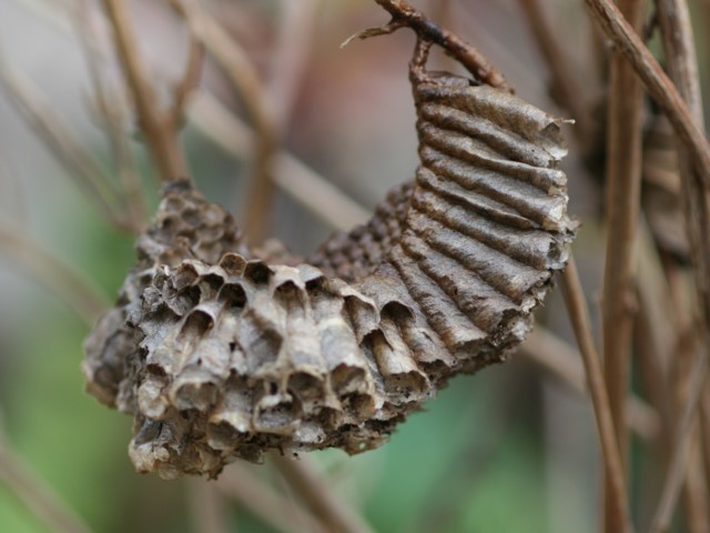 b0088772_17493522.jpg