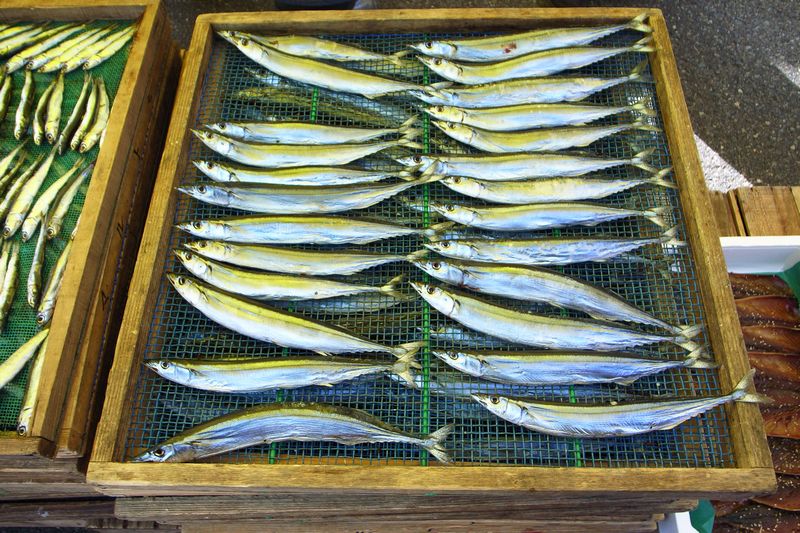 e0044775_131438.jpg