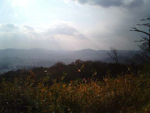 a0004180_21365963.jpg