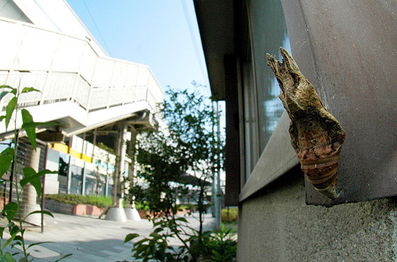 f0090680_22514460.jpg