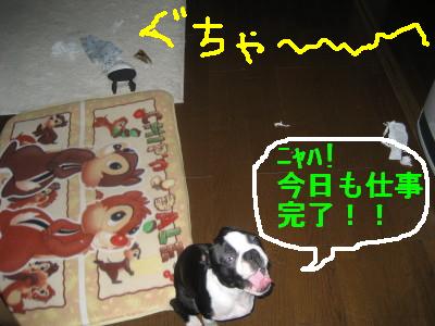c0092787_12142770.jpg