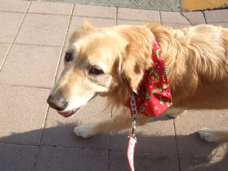 c0104492_17182669.jpg